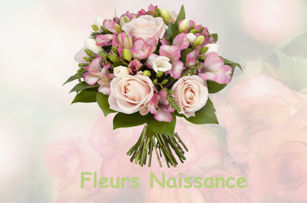 fleurs naissance LACHAUSSEE-DU-BOIS-D-ECU