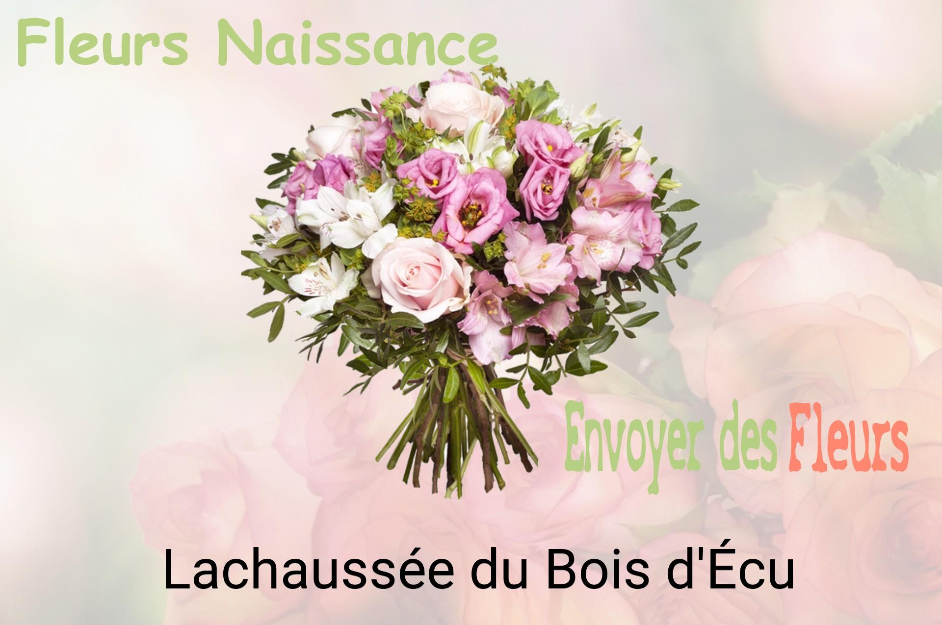 Bouquet de fleurs de naissance livré à Lachaussée-du-Bois-d'Écu
