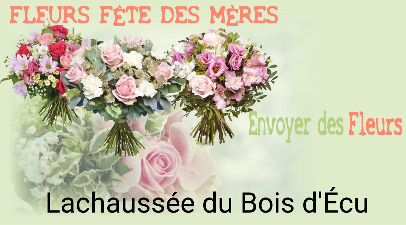 Bouquet de Fête des Mères livré à Lachaussée-du-Bois-d'Écu